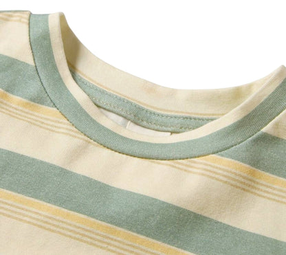 Conjunto Jano